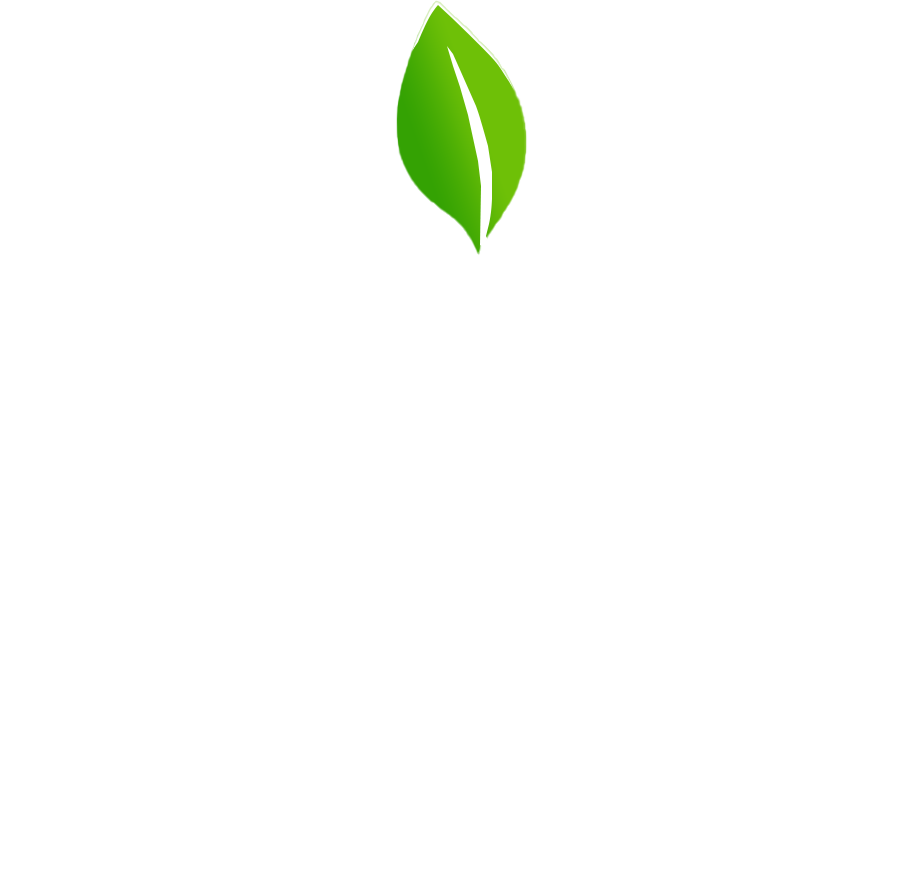 sustainability-plants-frame-5